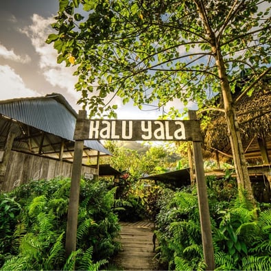 Classic entrance Classic entrance