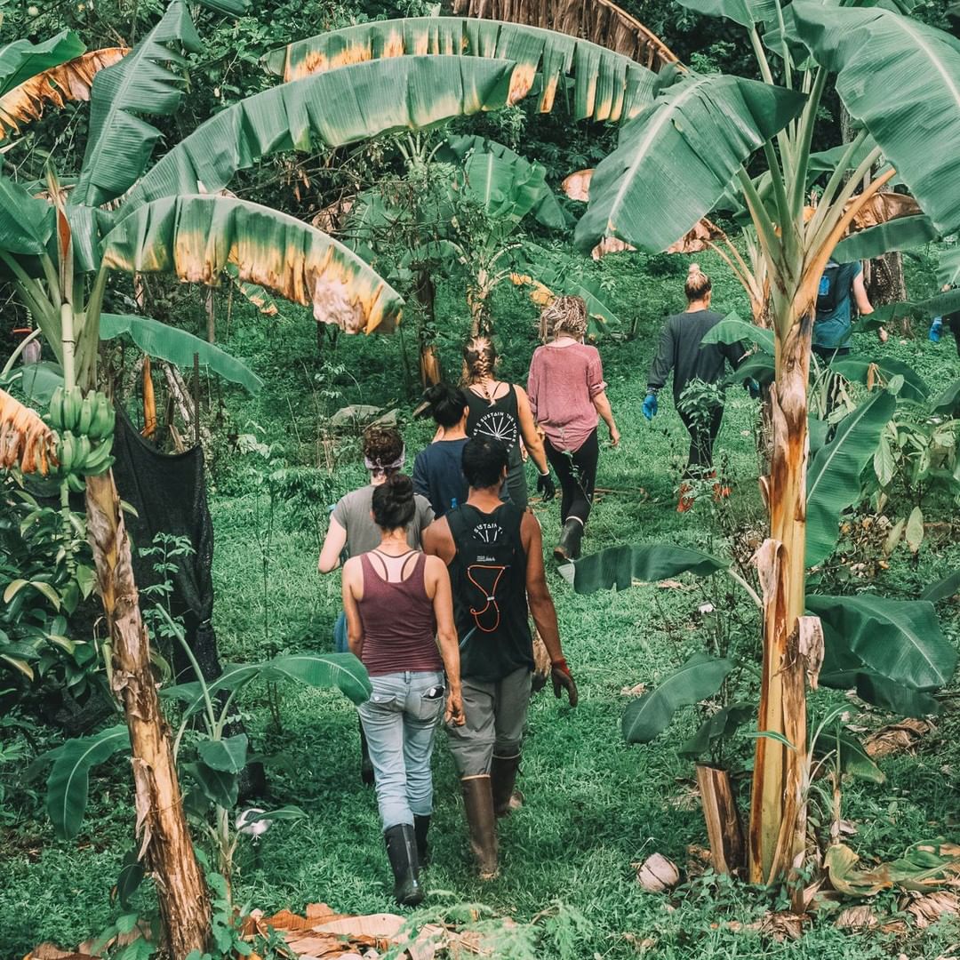 Activities - Farm Tour 1