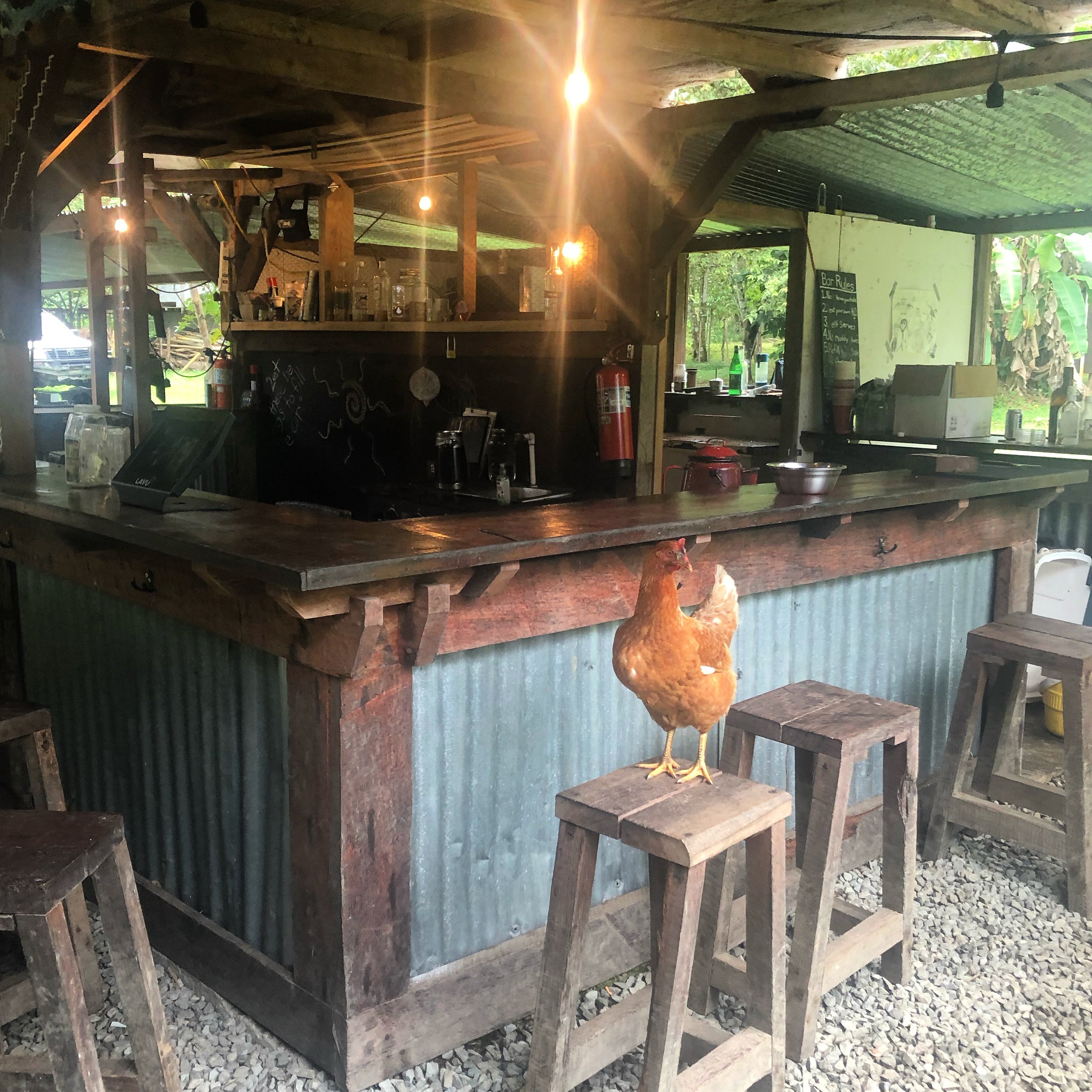 Amenities - Chicken at a Bar