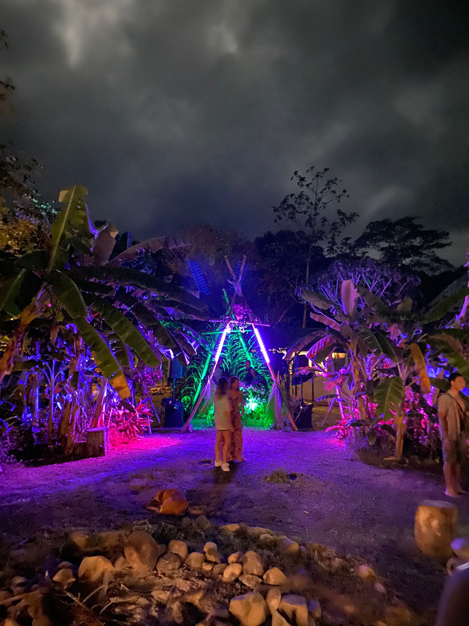 Nightlife - Selvatica 1